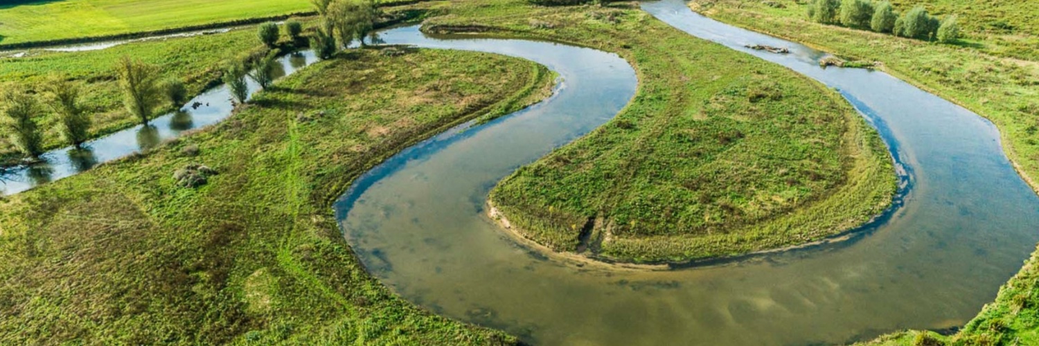 Deutscher Angelfischerverband e.V. (DAFV) banner