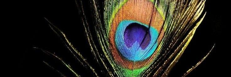 AnkityadavS's profile banner image