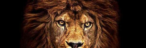 faston_kunta's profile banner image