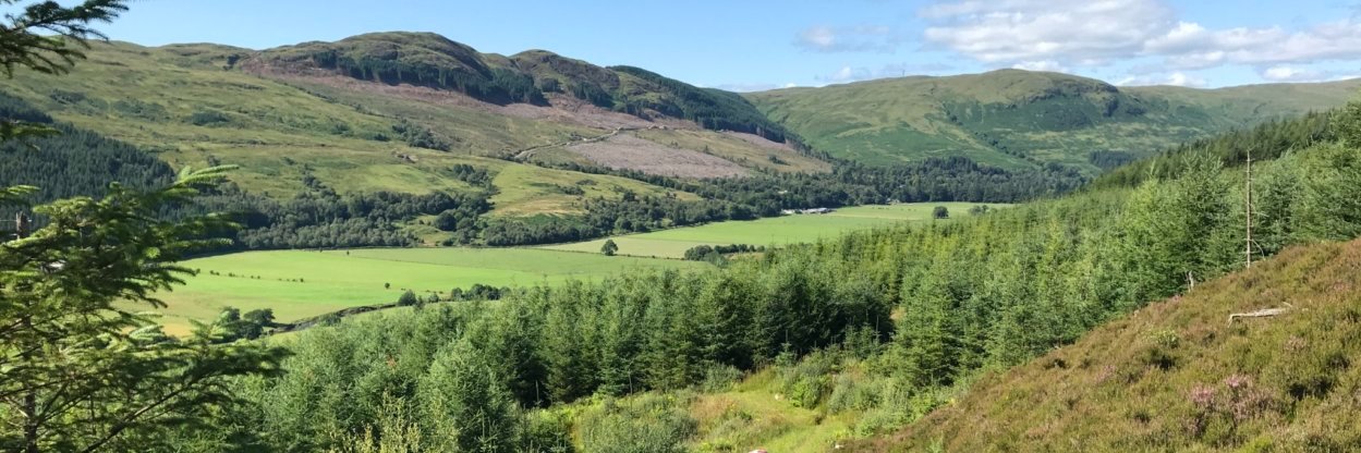 Stronafian Community Forest banner