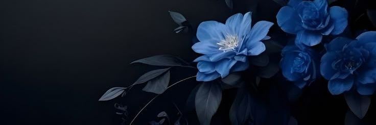 Mandy (SEMI-RETIRED) banner