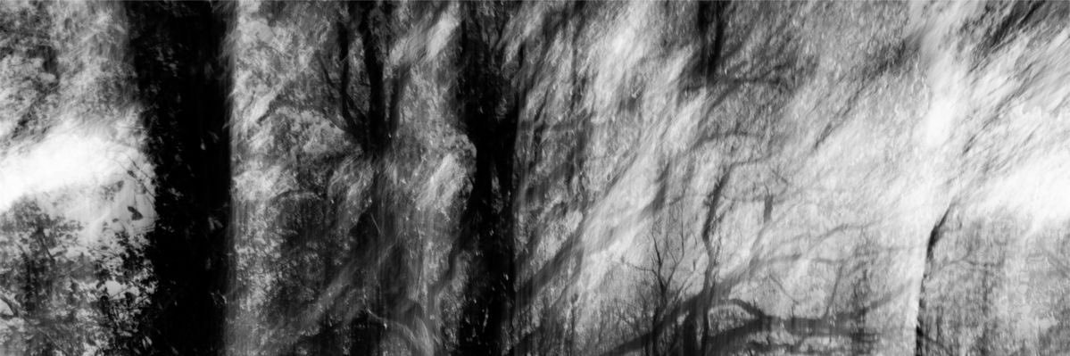 4rtlite's profile banner image