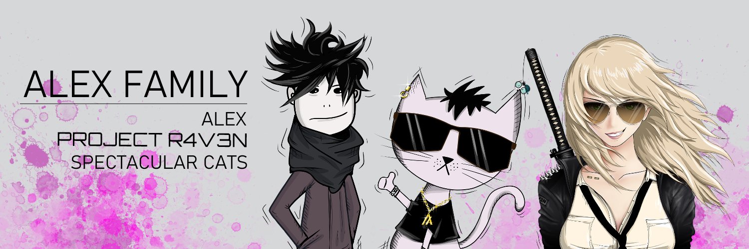 spectacularcats.algo banner