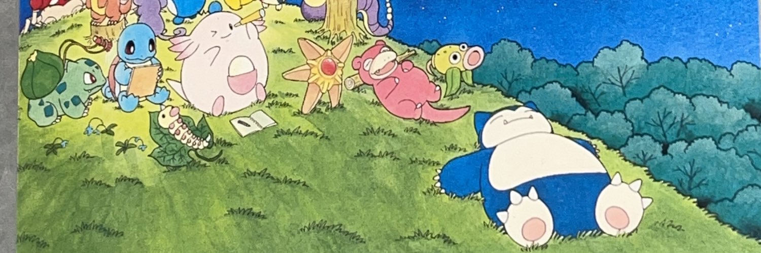 Steadycollect banner