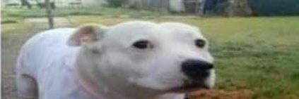 panas_Ooc's profile banner image