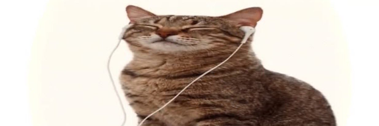 carolowow's profile banner image