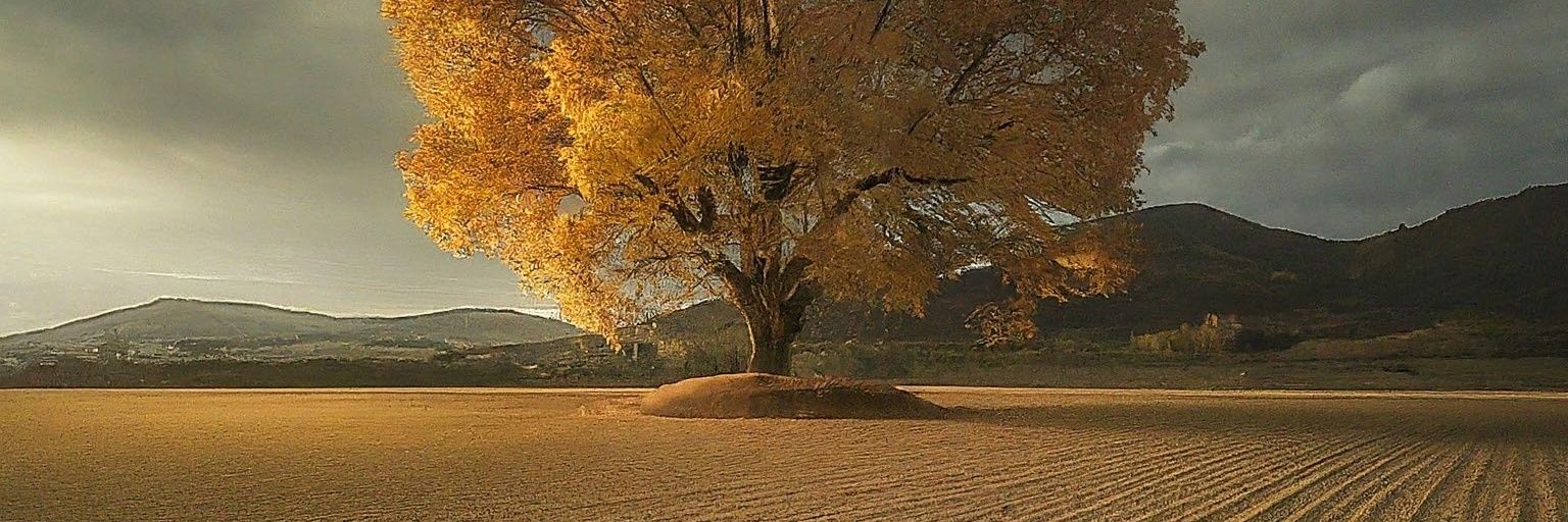 MASAKI_NG's profile banner image
