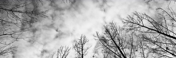 OncelikEngelli Profile Banner