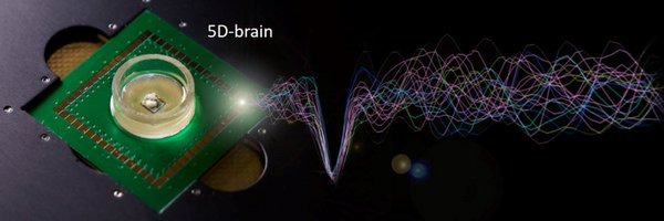 SynaxyS Profile Banner