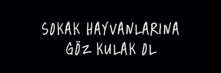 ozlem_mumcu's profile banner image