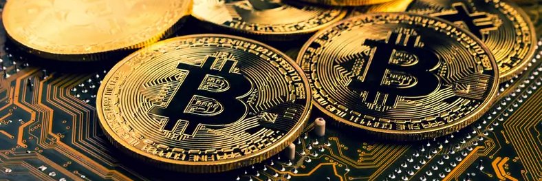 cryptoPIRATTE's profile banner image