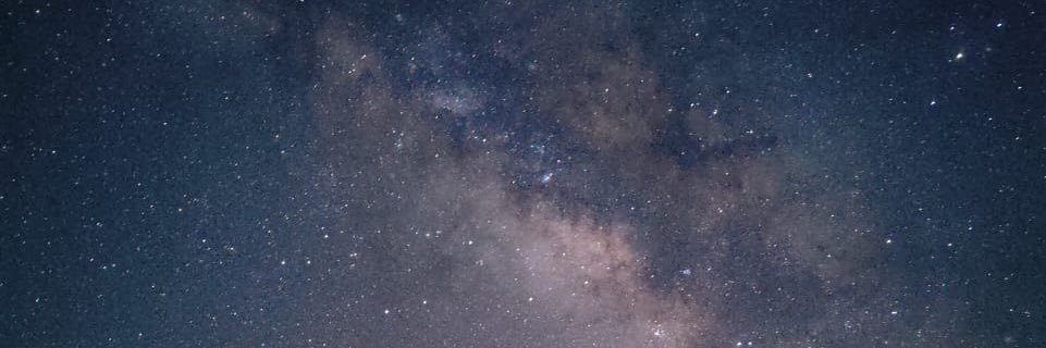 rootganglion's profile banner image