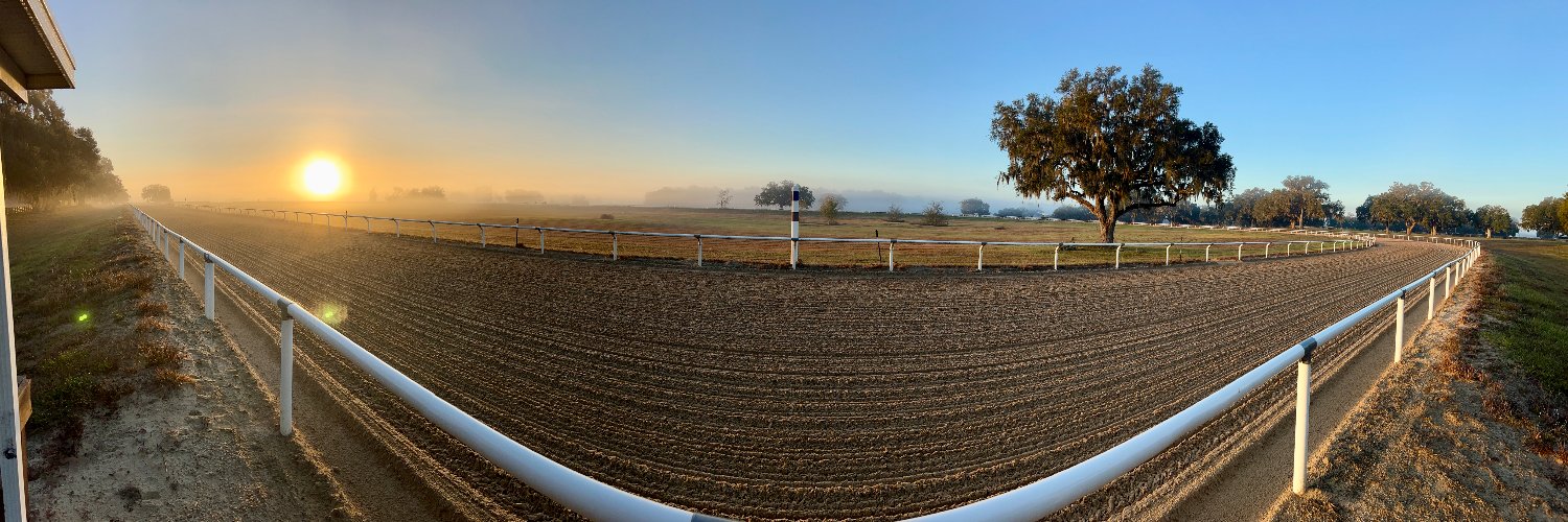 GVG Genetics's banner
