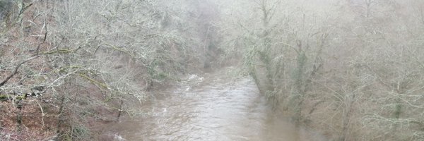 Chacossisson231 Profile Banner