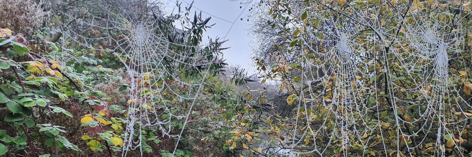 RavelTWeb's profile banner image