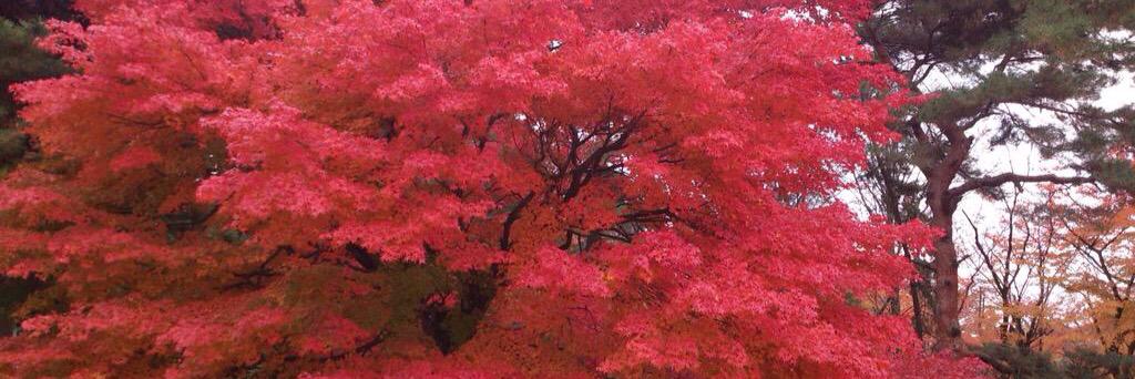 hide7676's profile banner image