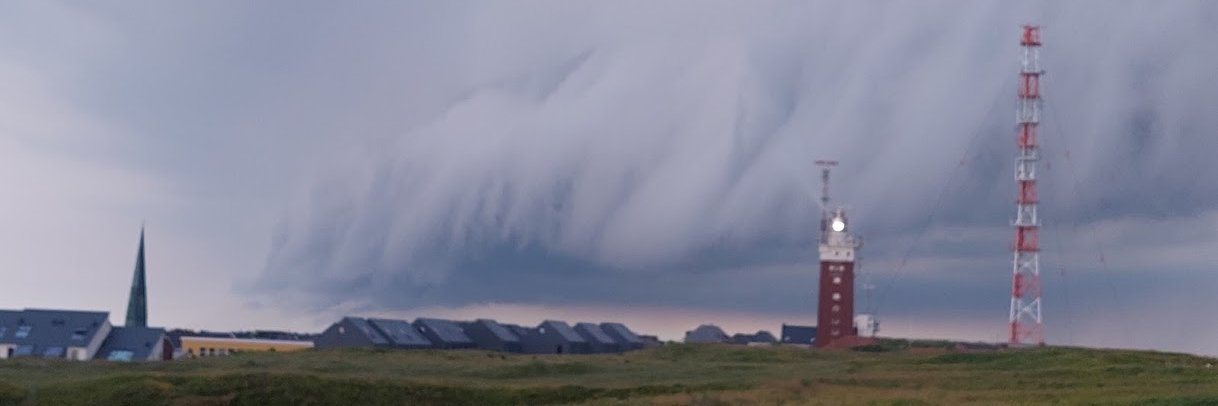 Miriam Prys-Hansen banner