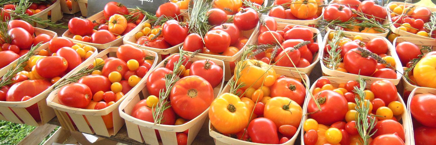 Edinburgh Foody banner