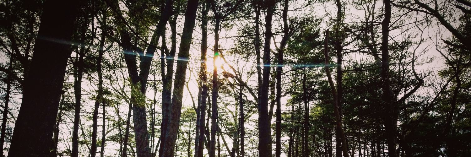 mandaaah816's profile banner image