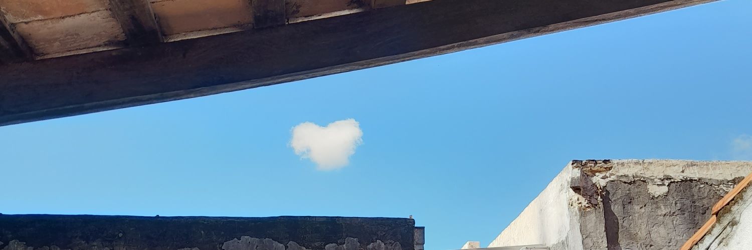 MisaBoomer's profile banner image