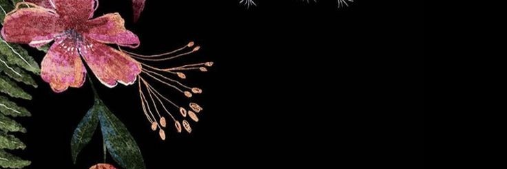 wafa_moh_0's profile banner image
