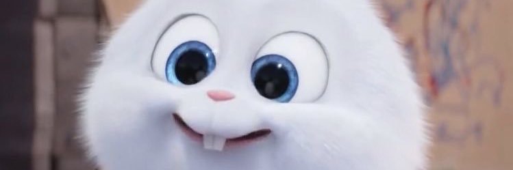 chelnowball's profile banner image