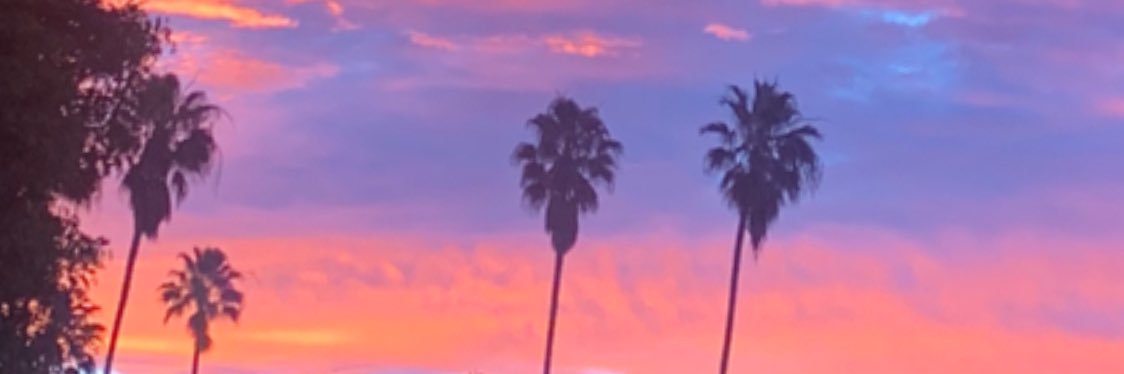 JulieWolfson's profile banner image