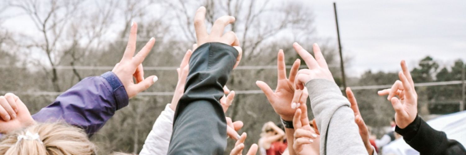Carson-Newman University Beach Volleyball banner