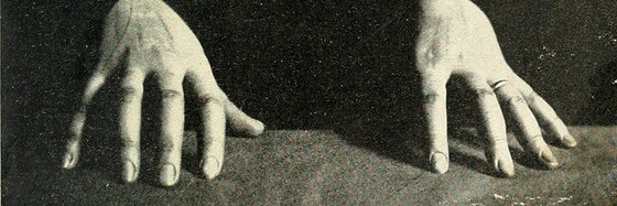 Sharon Gal's banner