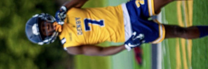 Johnell Trice banner