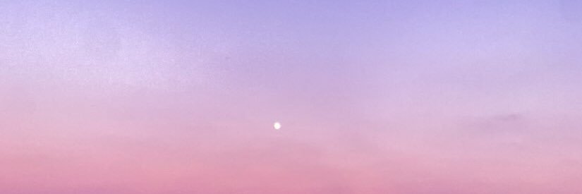 JoyceVTF's profile banner image