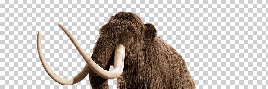 ZXCREATIVE banner