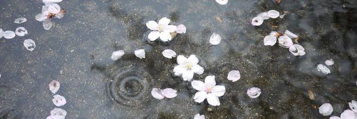 The Happiest Girl 🪻💜 banner