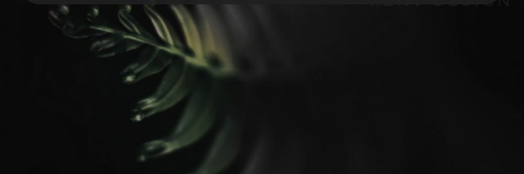 チャンピオン 💙 banner