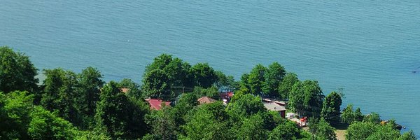 mislyll Profile Banner
