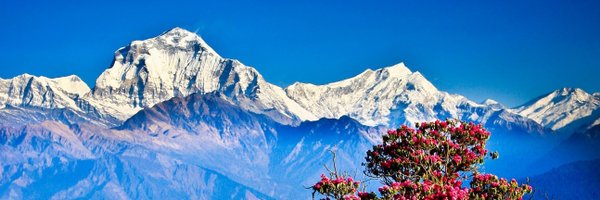 h_pant Profile Banner