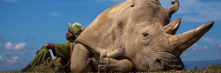 Henri-Jean Bardon banner