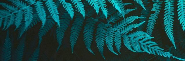 _UselessUlysses's profile banner image