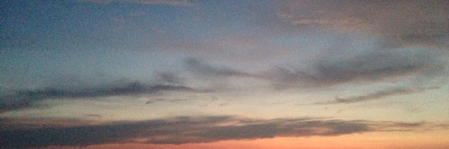 Alison Novack Ilg banner