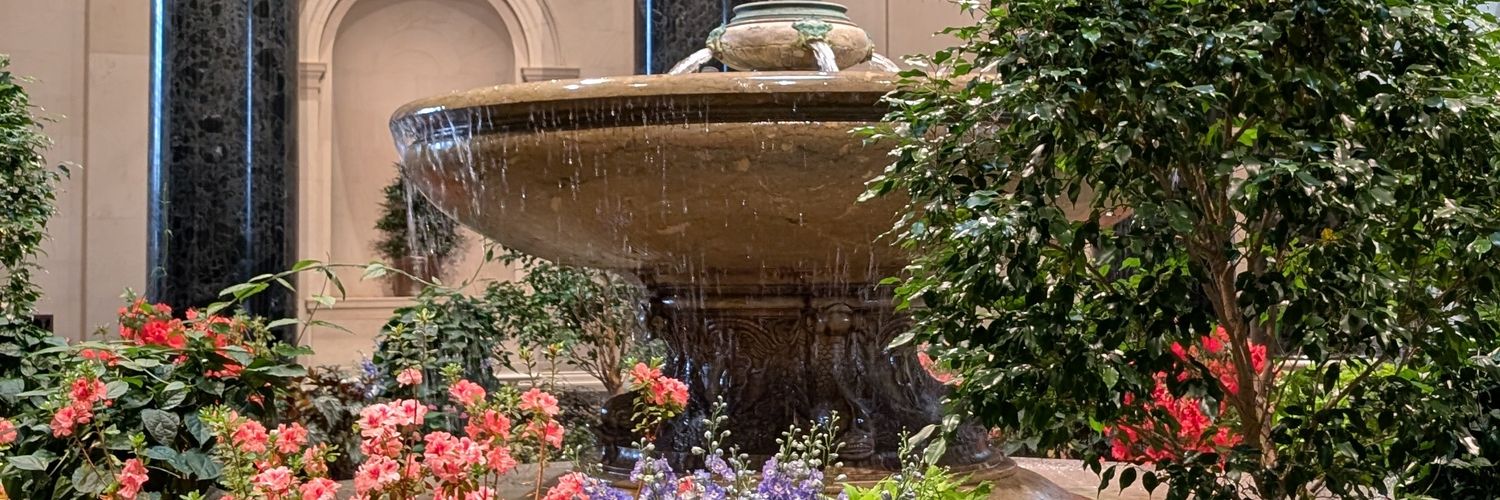 SheldonLV's profile banner image