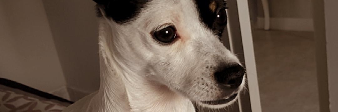 eleenacaldrn's profile banner image