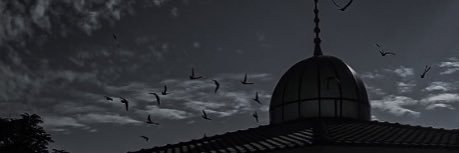 Asma banner