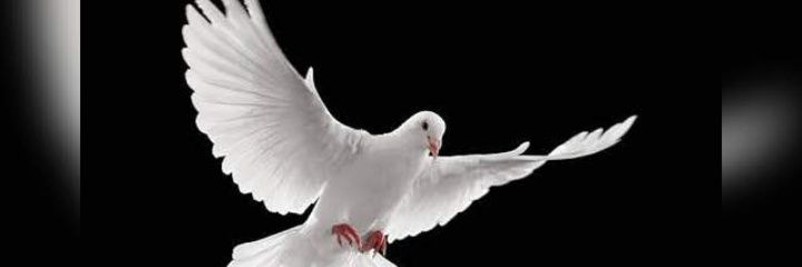 sylvester_okes's profile banner image