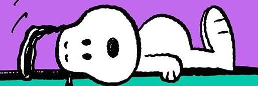 Snoota's profile banner image