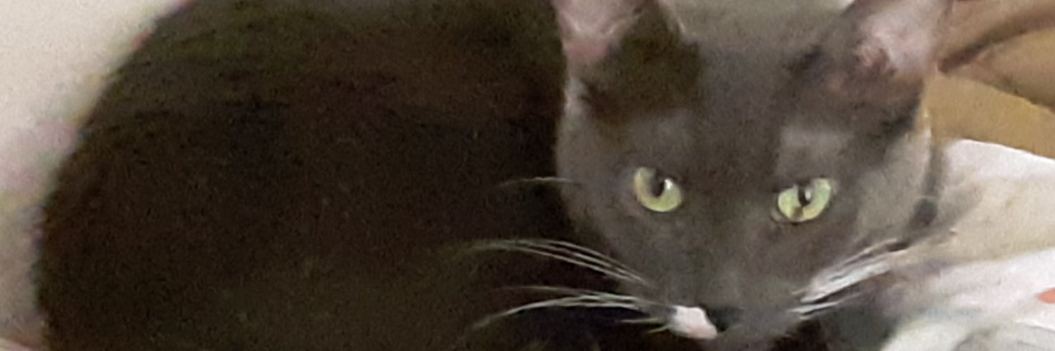 KatM7997's profile banner image