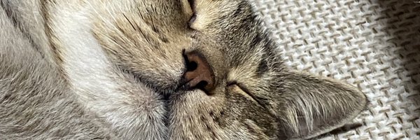 lokikku Profile Banner
