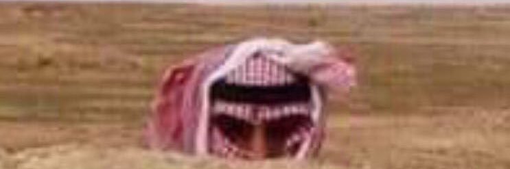 alhdeem's profile banner image