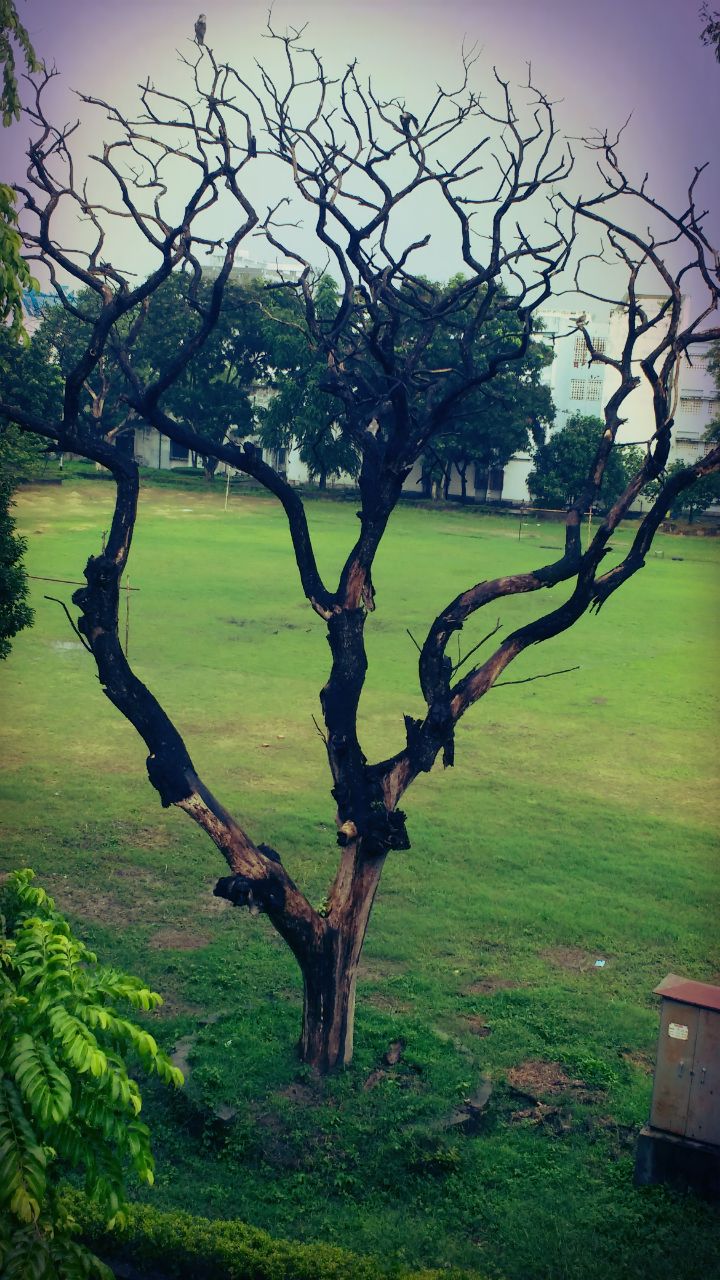 deepshikha_gond's profile banner image