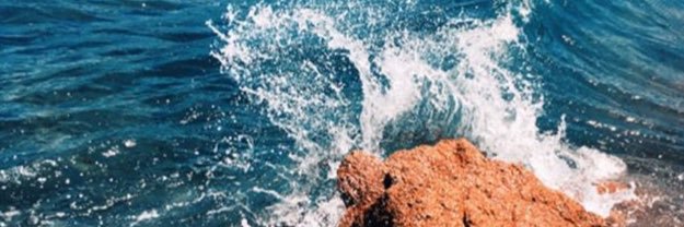 x_chanteclerc's profile banner image
