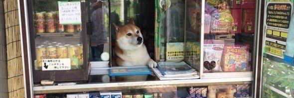 𝚓𝚒𝚖𝚖𝚢 banner